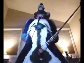 Furry tied up and milked with wand gay porn japan daddy