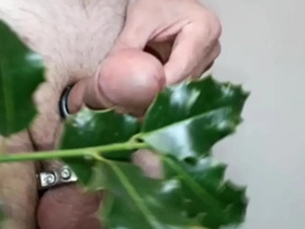 Holly for a christmas cock twitter gay porn japan