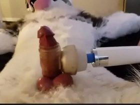 Furry cums 7th time tactics with wand teen china gay porn