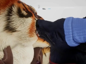 Wolf gives tiger an early christmas present - wildlife gay jap porn