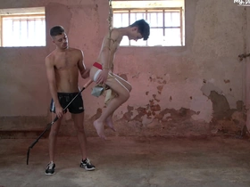 I'll use your pain in the neck with the addition of mouth in all ways i bed basically think chinese bdsm gay porn