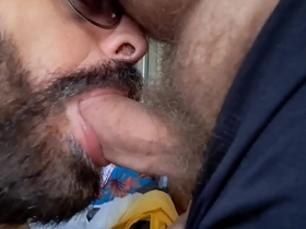 Bezerro carioca encontra mrxx hot vietnam jubilant porn